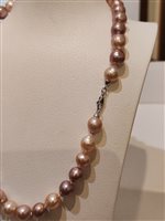 Collier Gemoro Femme Perle in Perles Perla GPE069BIA - GPE069BIA
